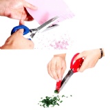 Multi-Blade Shredder Scissors